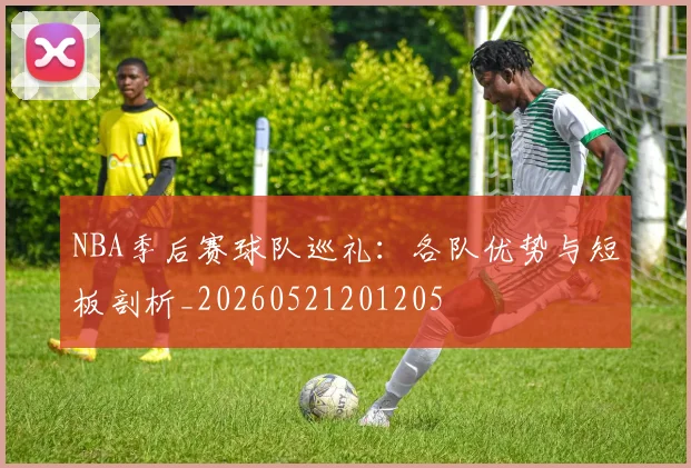 NBA季后赛球队巡礼：各队优势与短板剖析_20260521201205